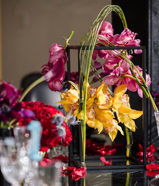 Jahzara Nicole Events