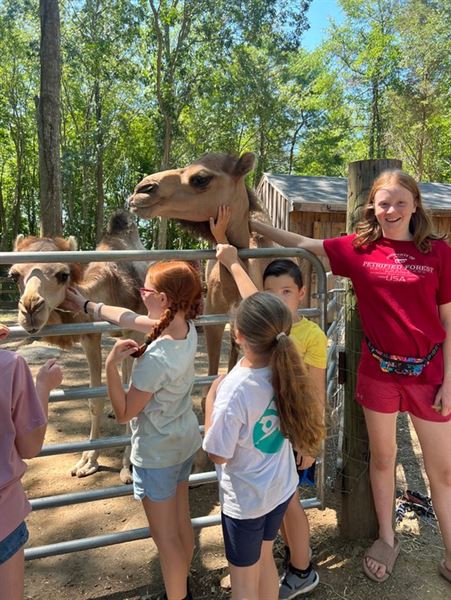 Blazing Saddles Pony Parties & Petting Zoos