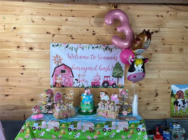 Blazing Saddles Pony Parties & Petting Zoos