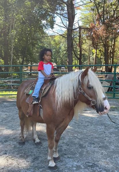 Blazing Saddles Pony Parties & Petting Zoos