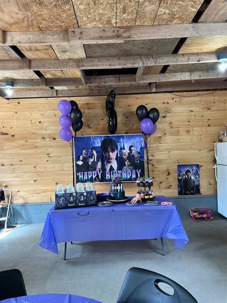 Blazing Saddles Pony Parties & Petting Zoos