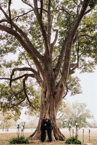 Williamson Family Farm