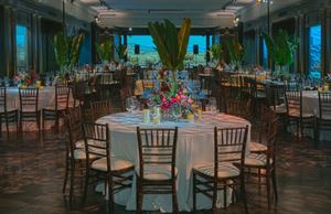 North American Mammal Hall (First Floor)