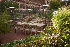 Erika J. Glazer Family Edible Garden