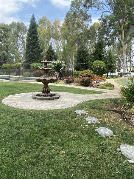 Starlight Grove Events