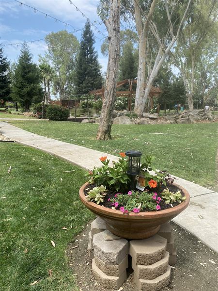 Starlight Grove Events