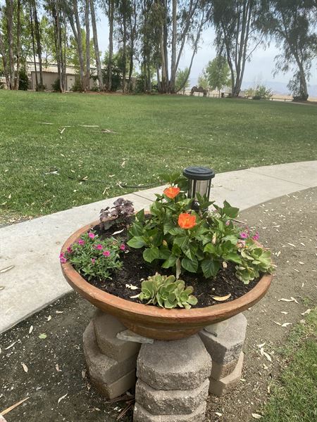 Starlight Grove Events