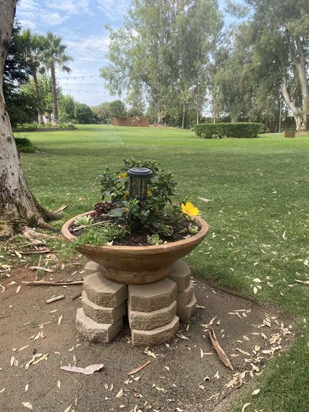 Starlight Grove Events