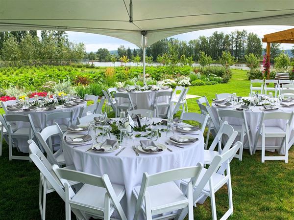 Northern Lights Estate Winery