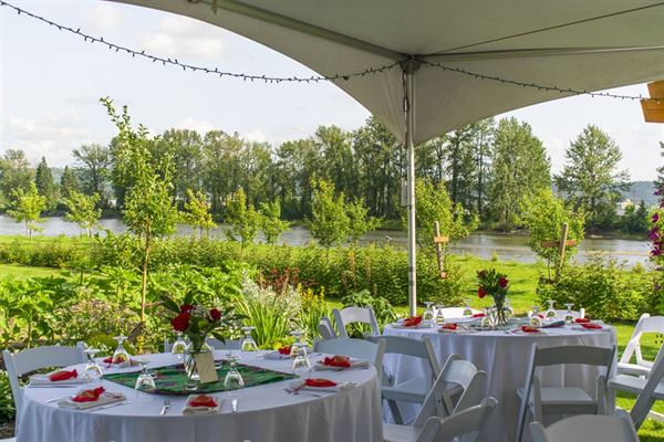 Northern Lights Estate Winery