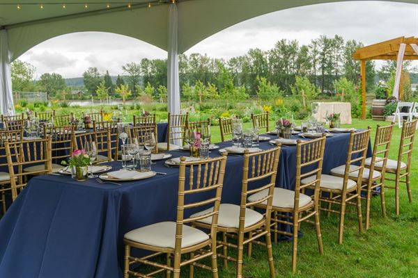 Northern Lights Estate Winery