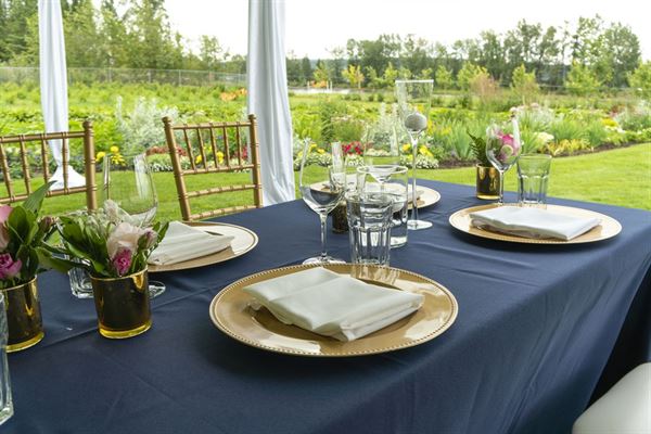 Northern Lights Estate Winery