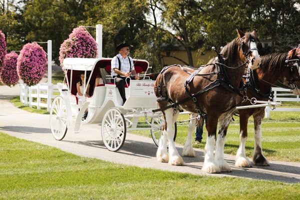 Tetz Family Clydesdale Farm