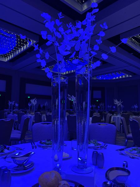 Plush Luxury Events LLC