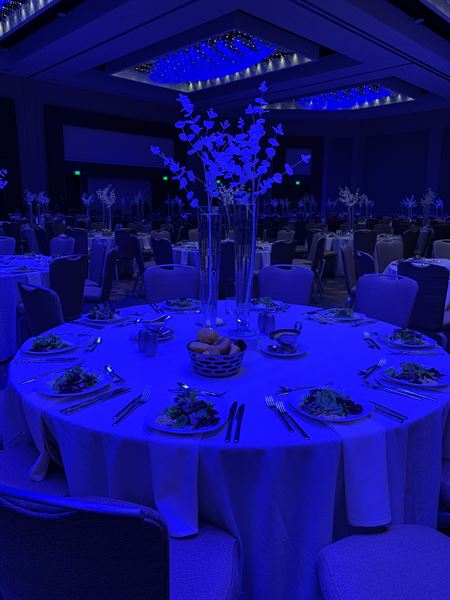 Plush Luxury Events LLC