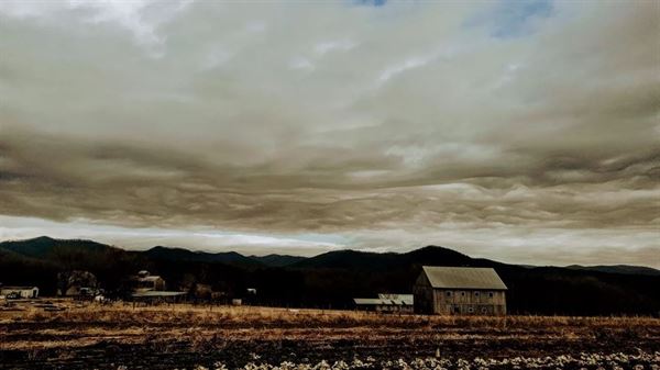 Wood Ridge Farm Brewery