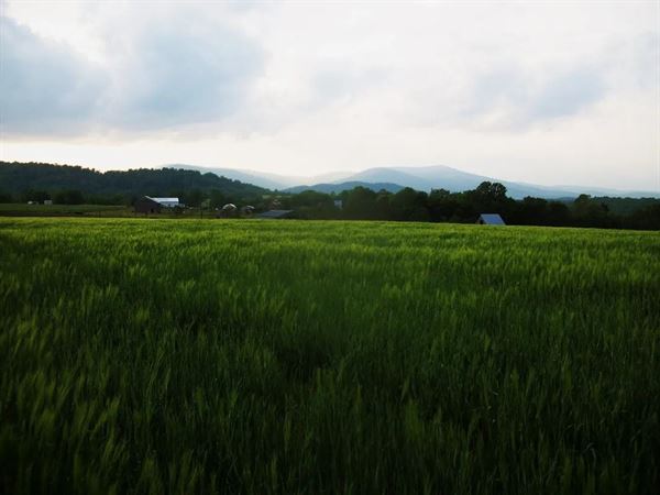Wood Ridge Farm Brewery