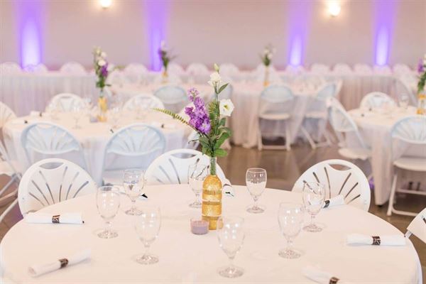 Twin Oaks Vineyard and Winery