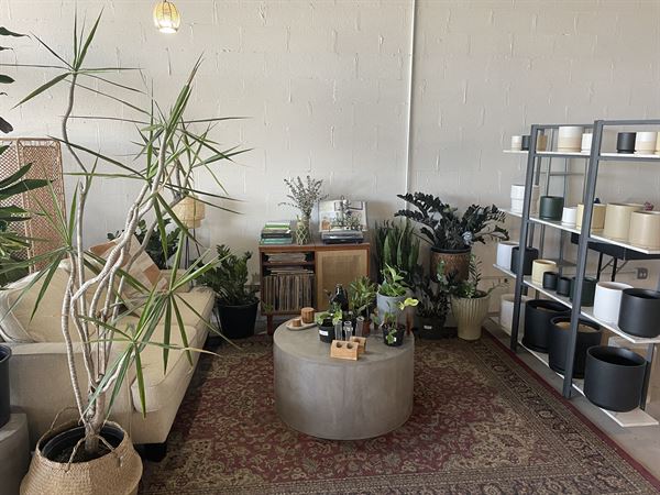 The Greenhouse in Sycamore