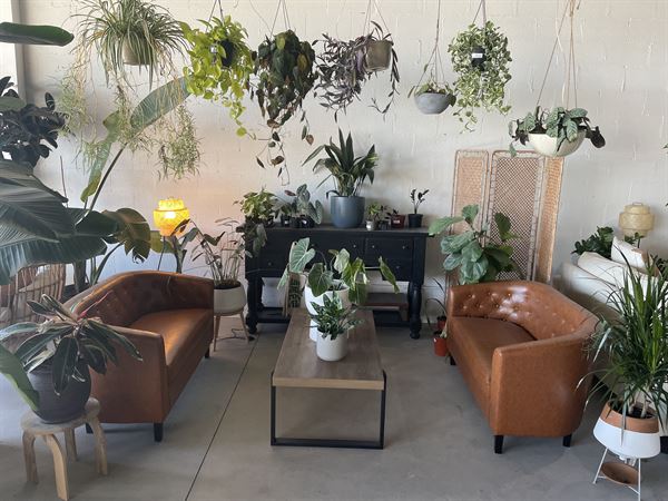 The Greenhouse in Sycamore