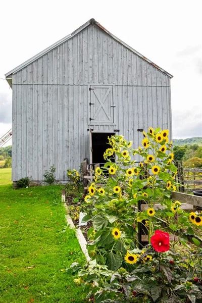 Enchanted Valley Farm