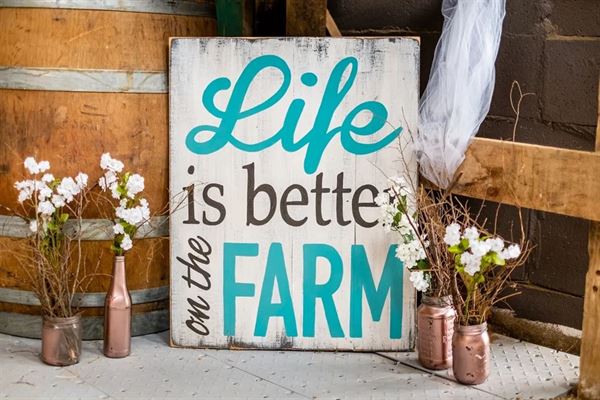 Enchanted Valley Farm