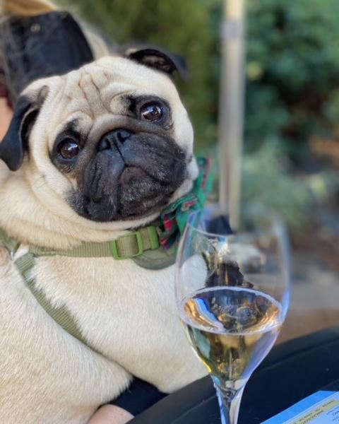 Breathless Sparkling Wines