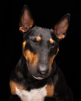 Sarah Zemunski Photography