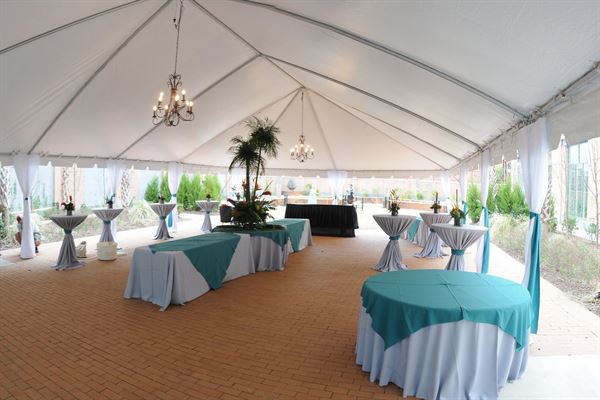PARTY IN A TENT AUGUSTA