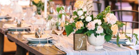 Tarpon River Brewing