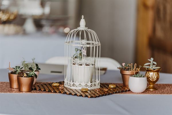 Tarpon River Brewing