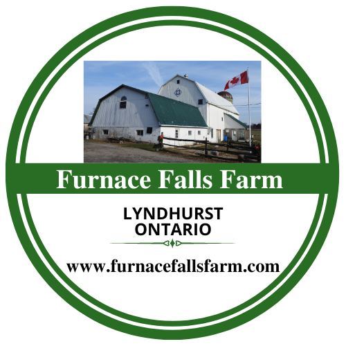 Furnace Falls Farm Retreat