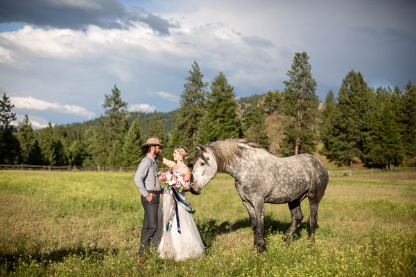 RiverView Ranch Retreat & Western Adventures