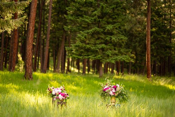 RiverView Ranch Retreat & Western Adventures