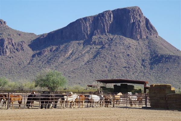 White Stallion Ranch