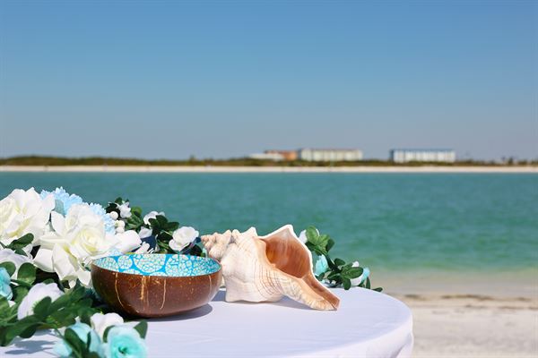 Tides of Love Beach Weddings