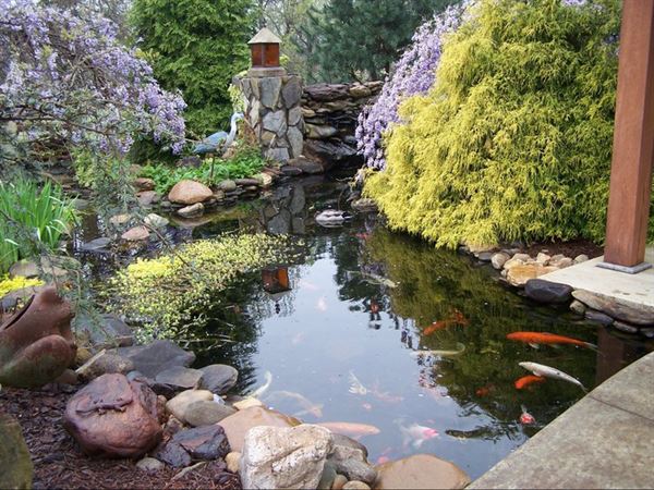 View Point at Buckhorn Creek