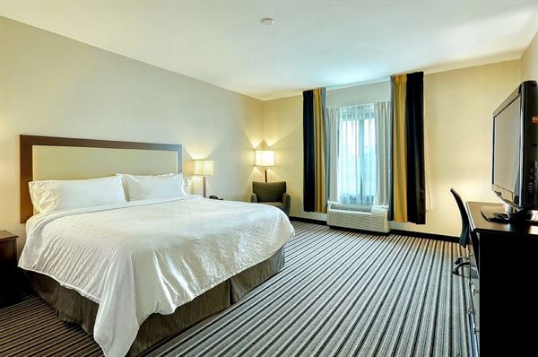 Holiday Inn Express & Suites Batavia - Darien Lake