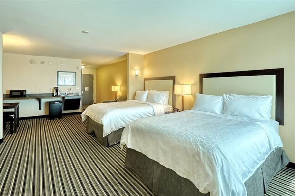 Holiday Inn Express & Suites Batavia - Darien Lake
