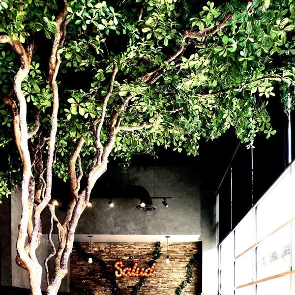 Cantina Tequila & Margarita Bar