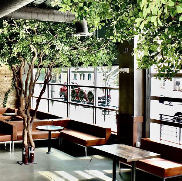 Cantina Tequila & Margarita Bar