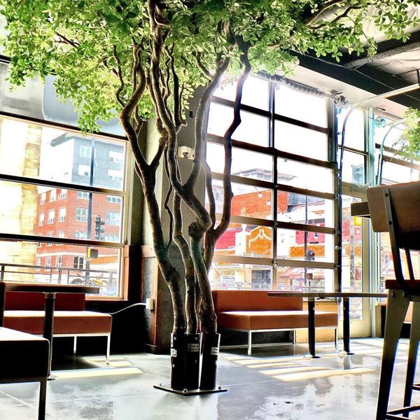 Cantina Tequila & Margarita Bar