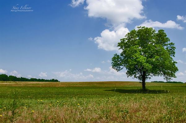 Evergreen Plantation