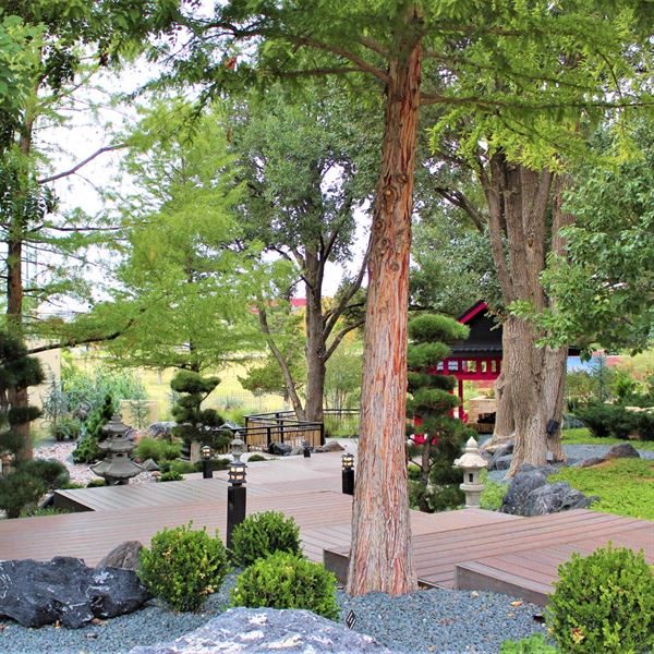 Amarillo Botanical Gardens