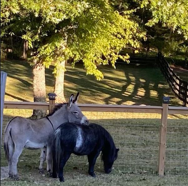 Enchanted Springs at Gordon Farms