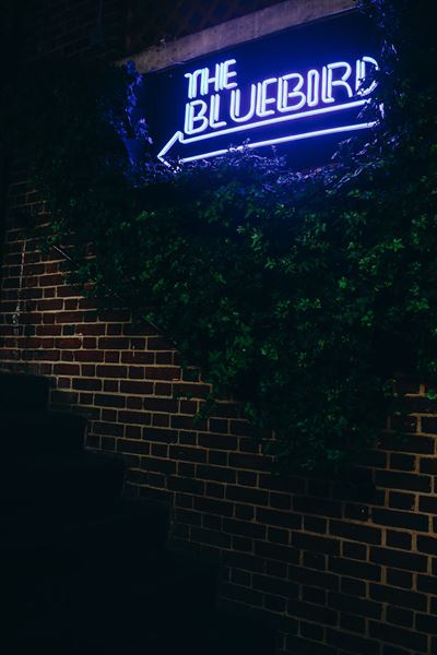 The Bluebird's Green Room