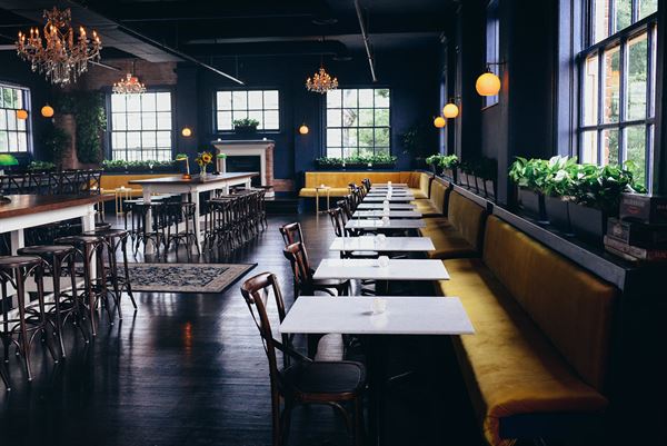 The Bluebird's Green Room