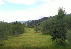 Elk Meadows