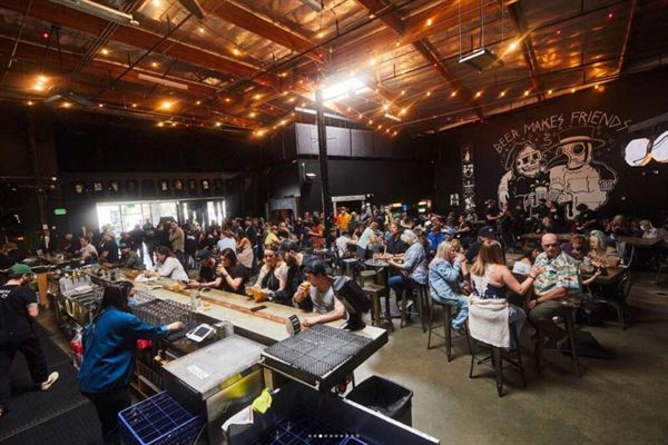 Black Plague Brewing