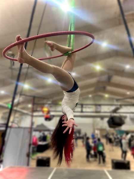 Bizarre Creations Entertainment